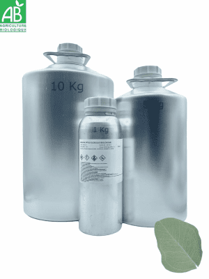 Huile essentielle de EUCALYPTUS GLOBULUS BRUT BIOLOGIQUE