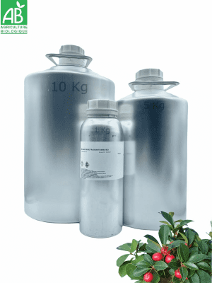 Huile essentielle de GAULTHERIE BIOLOGIQUE